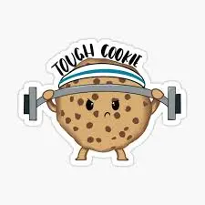 Protein Cookie